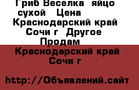 Гриб Веселка (яйцо) сухой › Цена ­ 3 200 - Краснодарский край, Сочи г. Другое » Продам   . Краснодарский край,Сочи г.